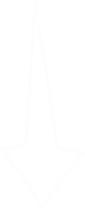 404